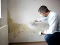 Mężczyzna w masce i rękawiczkach bada ściany z widocznym grzybem.