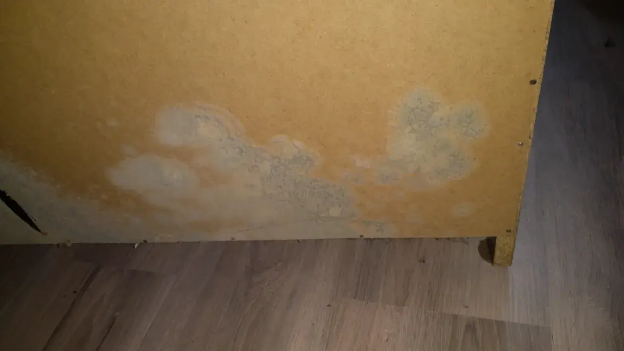 Plamy pleśni w szafie zabudowanej, rozprzestrzeniające się na płycie meblowej.