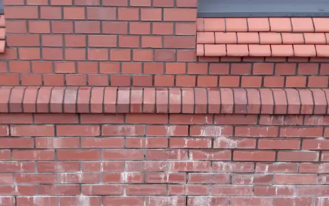 Elewacja z elementami cegły, z ozdobnym gzymsem i dachówkami.
