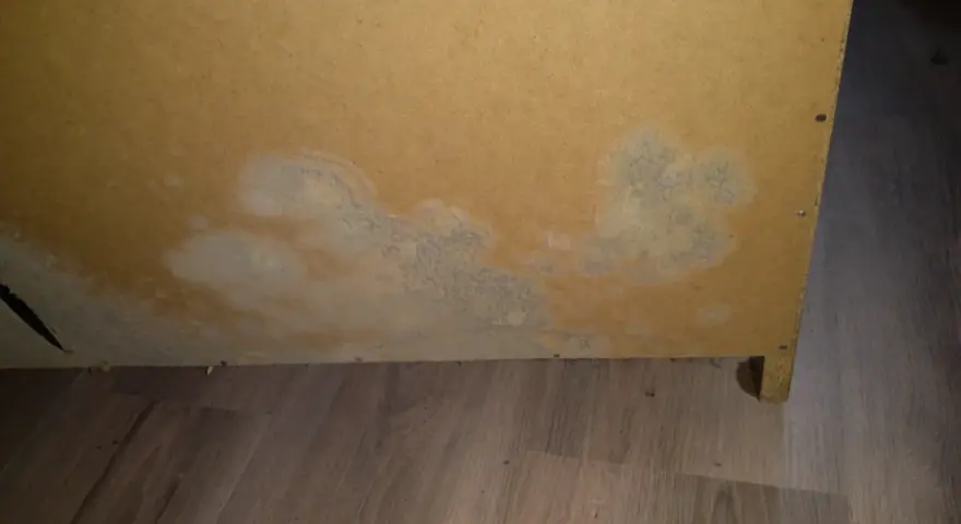 Plamy pleśni w szafie zabudowanej, rozprzestrzeniające się na płycie meblowej.